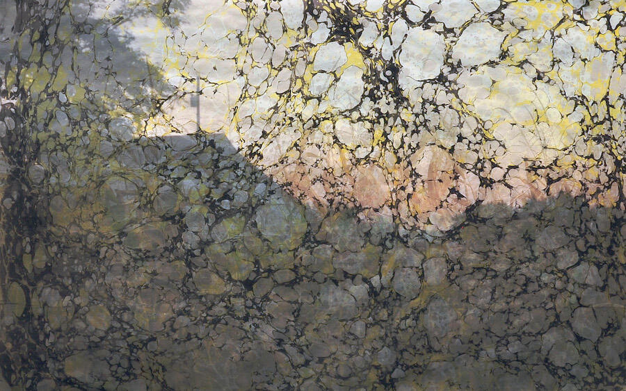 Range Line, digital print and acrylic marbling, 2016