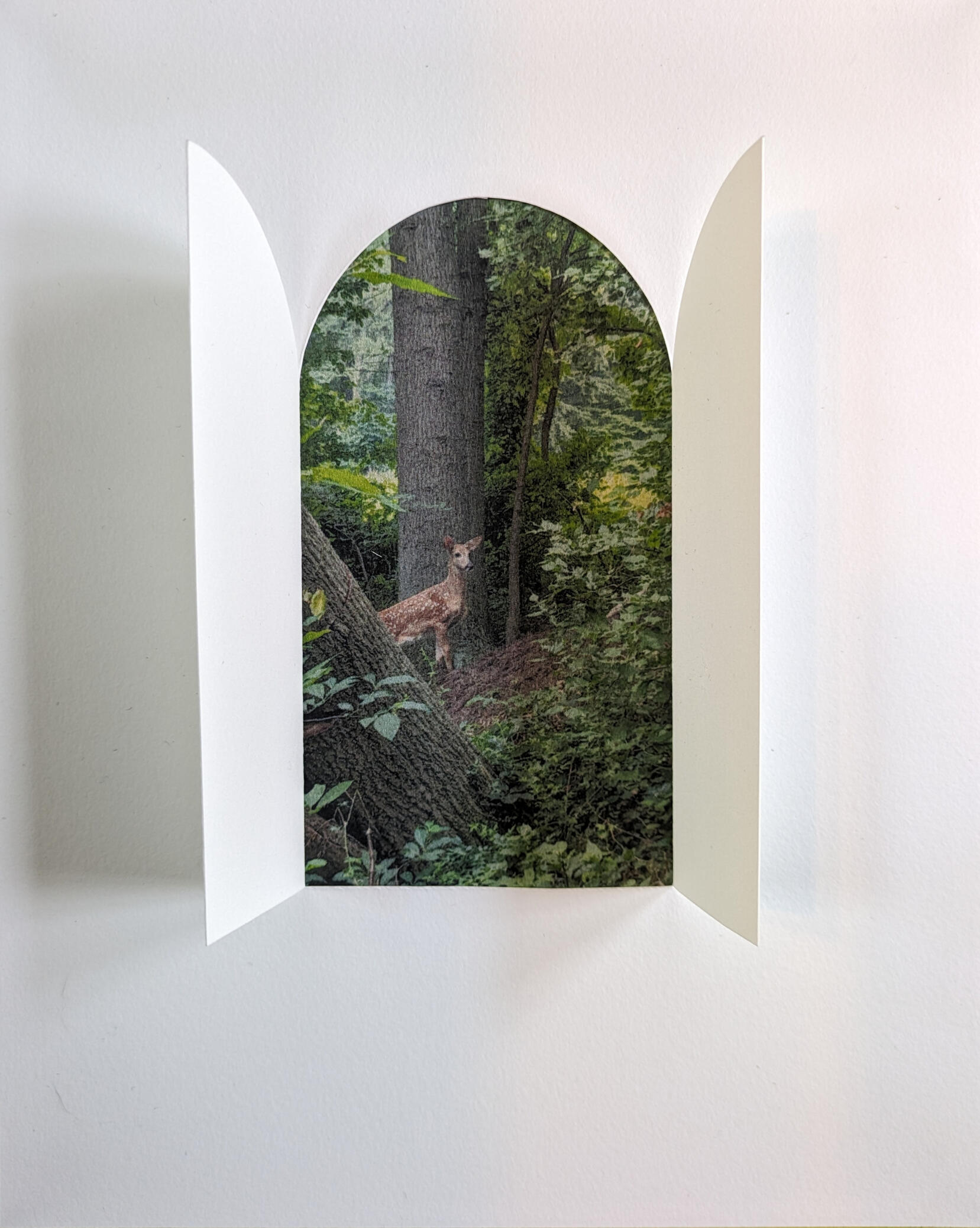 Hello There, digital print and cut paper collage, 2024